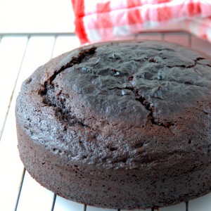 Chocolate Bat Cake Featured