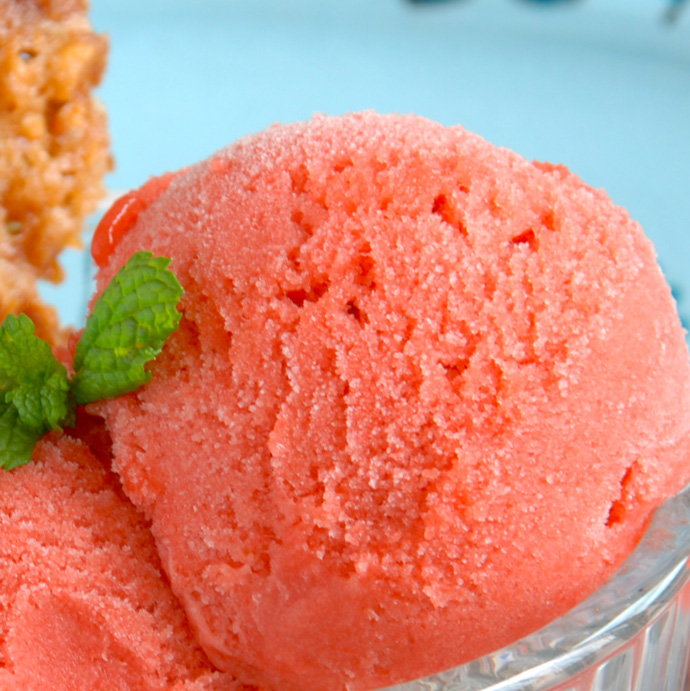 Rhubarb Sorbet with Ginger