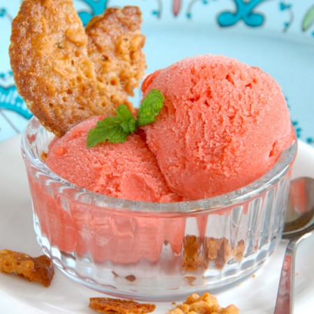 Rhubarb Sorbet with a Touch of Ginger
