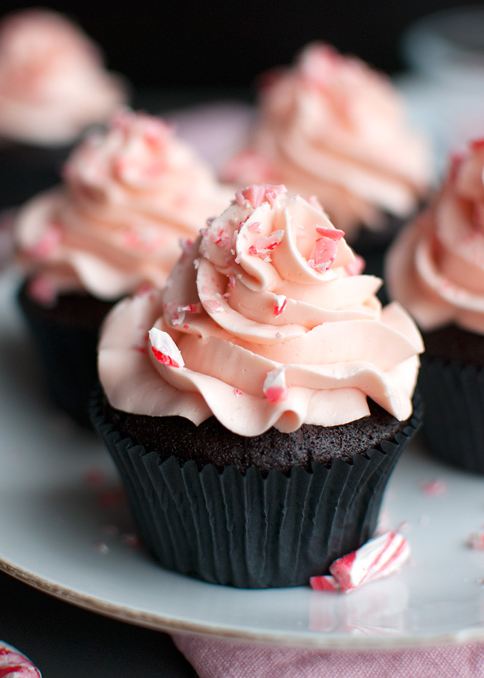 Candy Cane Cupcakes - Super chocolatey cupcakes frosted with the BEST candy cane buttercream. Delicious! | thetoughcookie.com