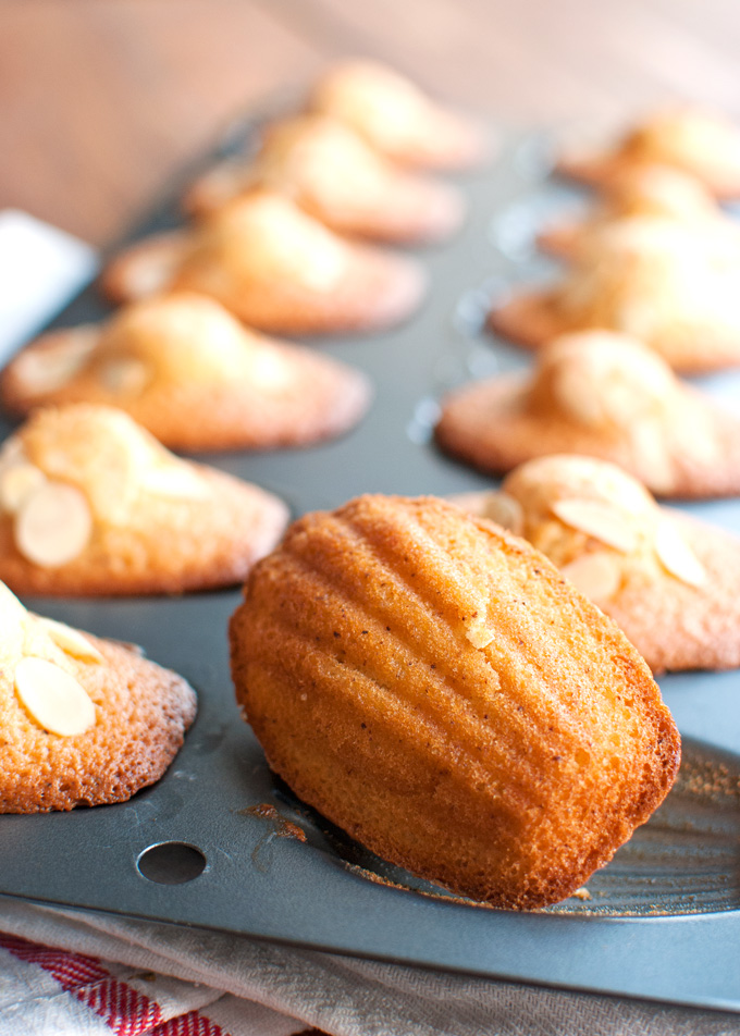 Madeleines with Almonds and Apricot Glaze