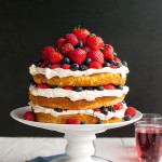Forest Fruit Cake with Whipped Cream Frosting