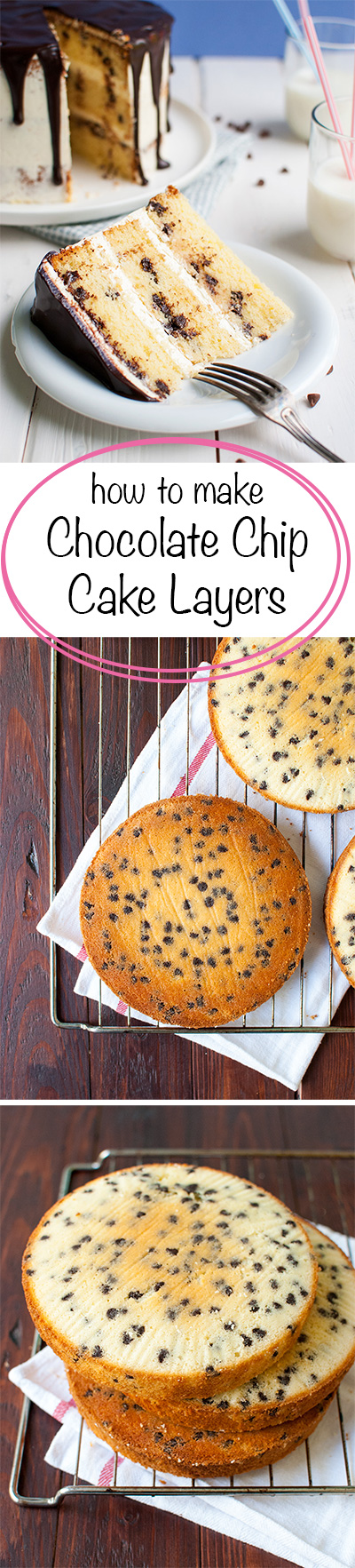 How to Make Chocolate Chip Cake Layers - these chocolate chip cake layers are thick, fluffy and DELICIOUS! Perfect with simple, homemade chocolate or vanilla frosting | thetoughcookie.com